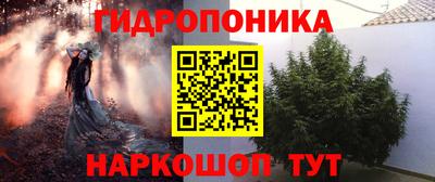гашик Донецк