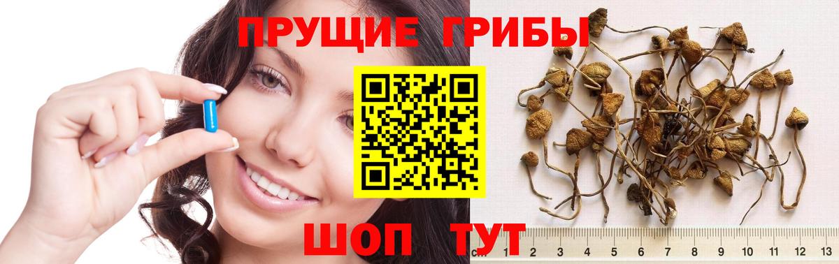 Галлюциногенные грибы прущие грибы Назарово